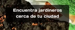 Mejores Jardineros en Quintanar del Rey Baratos