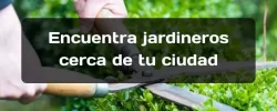 Mejores Jardineros en Madrid Baratos